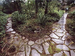 Flagstone Pathway