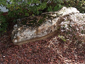 Landscape Boulder