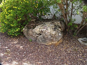 Landscape Boulder